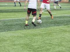 本泽马直言,讽刺,最佳之争,BB贝博艾弗森官网,BB贝博艾弗森体育APP,BellBet,BB贝博艾弗森平台