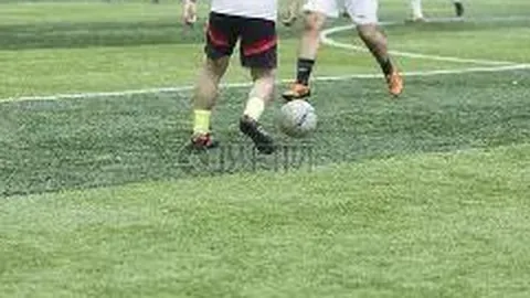 BB贝博艾弗森体育