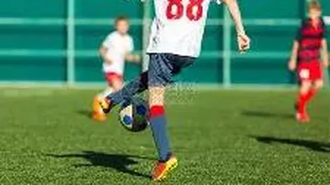 BB贝博艾弗森体育