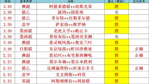 BB贝博艾弗森体育